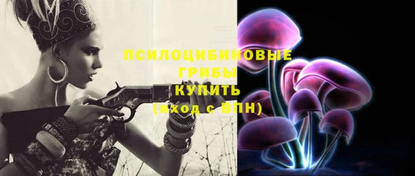 MESCALINE Няндома
