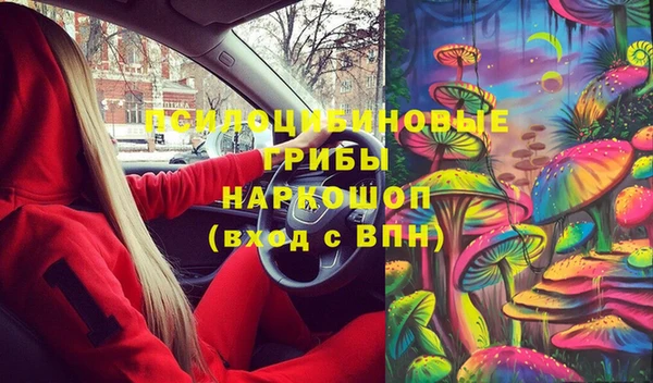 дурь Осташков