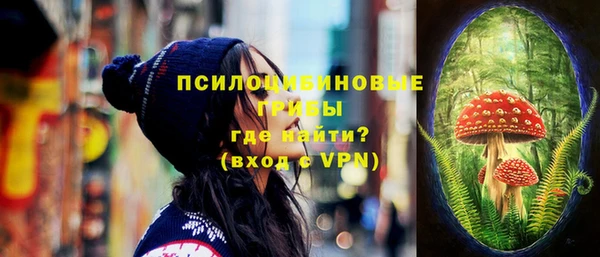 a pvp Сясьстрой