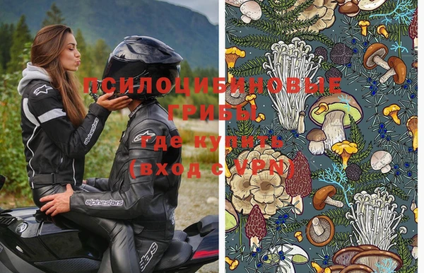 дурь Осташков