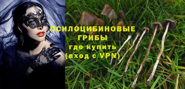 стафф Нягань