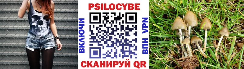 где купить наркоту Любань Псилоцибиновые грибы ЛСД